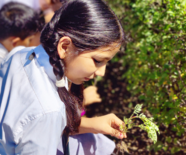 community-service-new-home-activity-ban-1